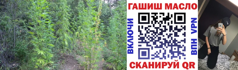 сколько стоит  Любань  Дистиллят ТГК гашишное масло 