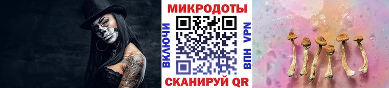 blacksprut вход  Любань  Галлюциногенные грибы Magic Shrooms 